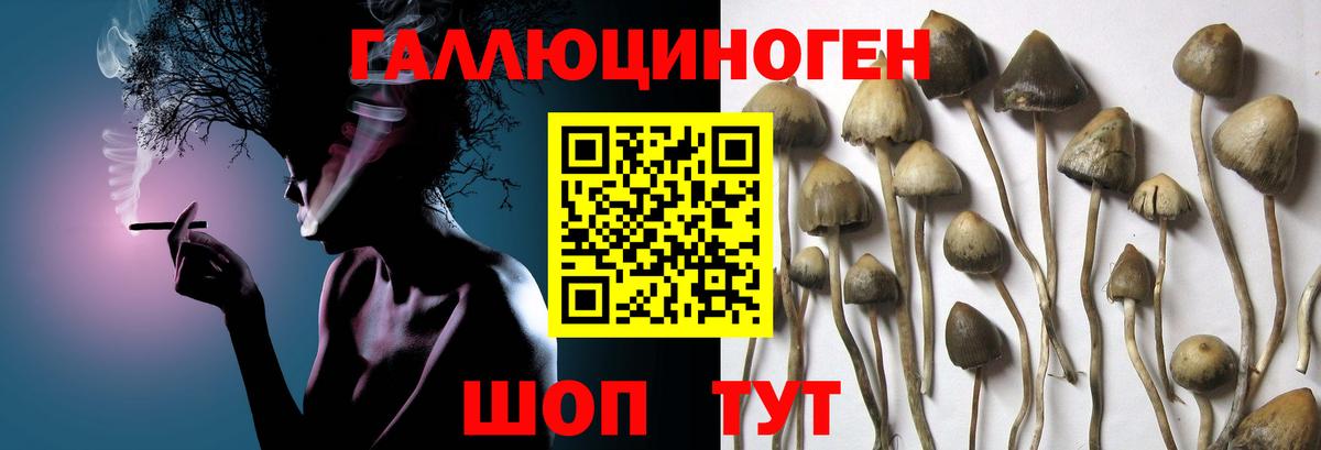 Галлюциногенные грибы ЛСД  Вход с VPN  Рязань 